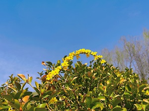 444400现场直播